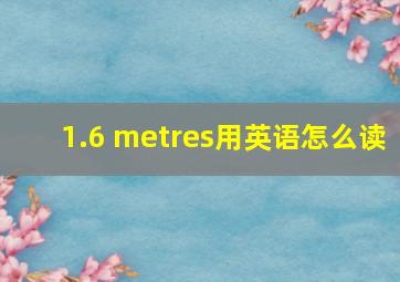 1.6 metres用英语怎么读